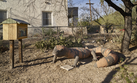 digitized image of Even a sculpted gila monster appears to be into reading near a Little Free Library (also known as a "birdhouse library") in the modest Dunbar Spring neighborhood of Tucson, Arizona