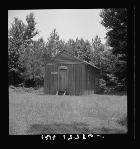 digitized image of Public library in the southwestern section of Mississippi, in the piney woods
