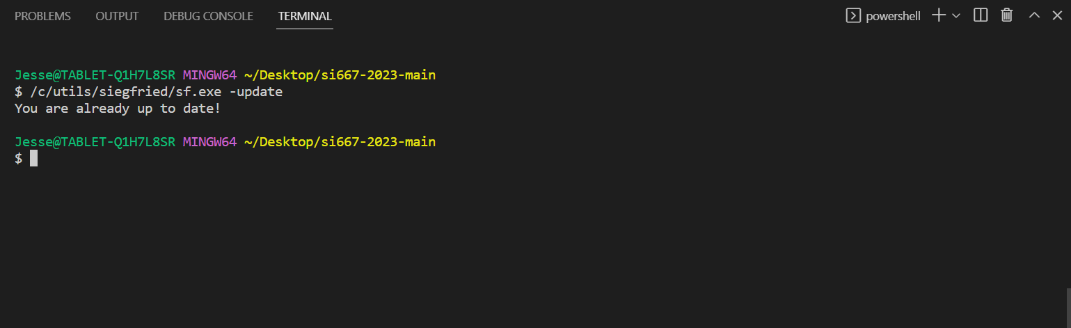 Windows Environment Variables dialog with System variables Path selected