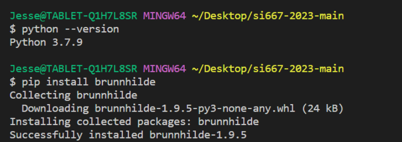 Installing brunnhilde using python pip install