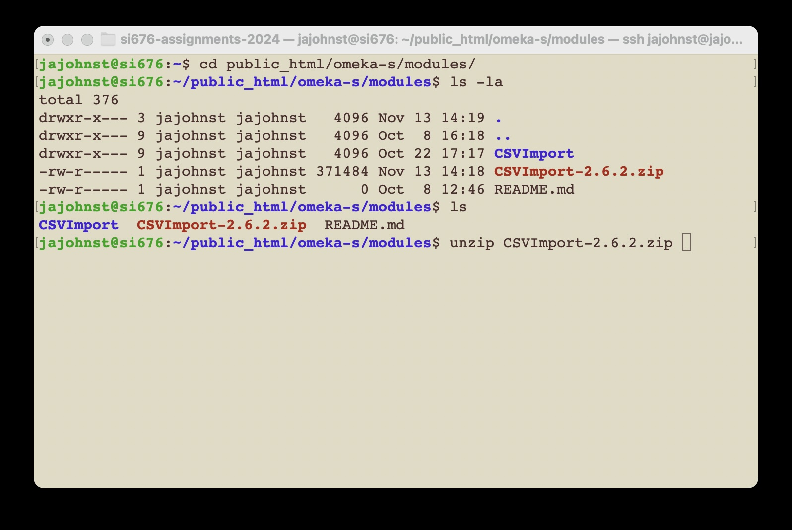 Unzipping the module with SSH in the modules directory